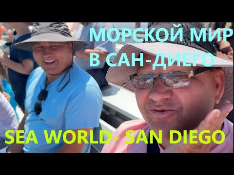 Видео: ПРОГУЛКА В ПАРКЕ " МОРСКОЙ МИР"  В ГОРОДЕ САН-ДИЕГО КАЛИФОРНИЯ