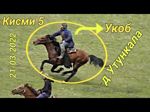 Видео: Бузкаши дар д Утункала Кисми 5