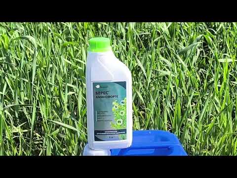 Видео: 17 мая 2025 г.