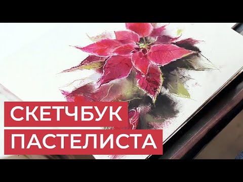 Видео: Листаем скетчбук пастелиста: скетчи, зарисовки, упражнения. Художник Татьяна Каштальян