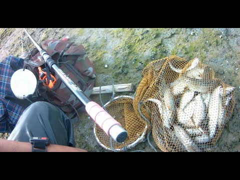 Видео: #Ловлю#Кефаль на #Каспийском заливе#fishing