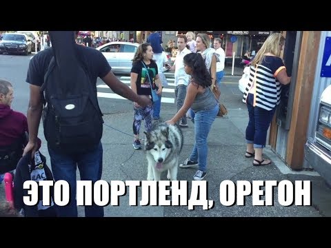 Видео: Русские в городе Портленде, штат Орегон, часть первая. Орегонские хиппи