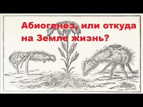 Видео: Абиогенез, или откуда на Земле жизнь