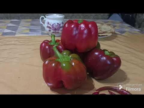 Видео: Пошила толстовки для внуков. Делаю аджику и кабачки. Скоро зима. 