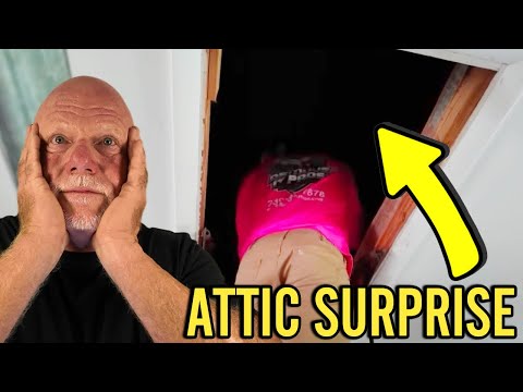 Видео: Поиск ценных находок, а затем разрушение дома стоимостью 22 000 000 долларов