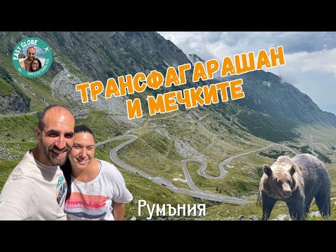 Видео: Хранихме мечки на прохода Трансфагарашан  | От България до Англия с кола, част 1