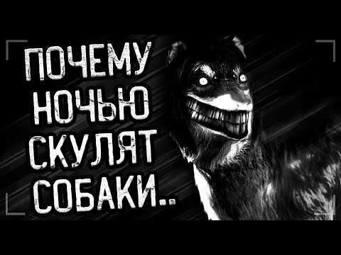 Видео: Я ЗНАЮ, ПОЧЕМУ ОНИ ВИЗЖАТ... Страшные истории на ночь. Мистика. Ужасы.