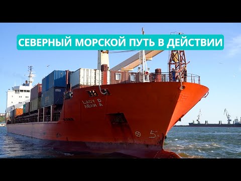 Видео: Северный морской путь в действии. Сухогруз "Леди Д" успешно зашел в сахалинские воды