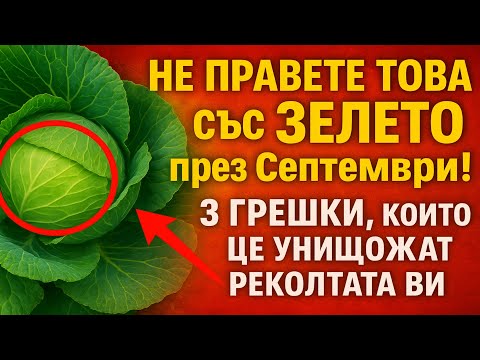 Видео: НЕ ПРАВЕТЕ ТОВА със ЗЕЛЕТО през Септември! 3 грешки, които ще унищожат реколтата ви.