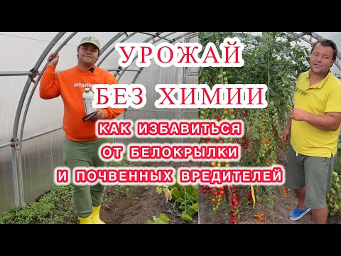 Видео: Мы этого ОЧЕНЬ ДОЛГО ЖДАЛИ! Новинки от Экодачник - в борьбе с ВРЕДИТЕЛЯМИ!!!