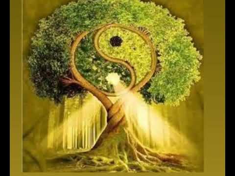 Видео: Медитация на возвращение нерождённых детей в Родовую Систему.