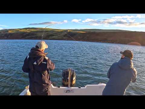 Видео: Где лучше ловить рыбу в ноябре: в открытом море или в прибрежной зоне? | Sea Fishing UK