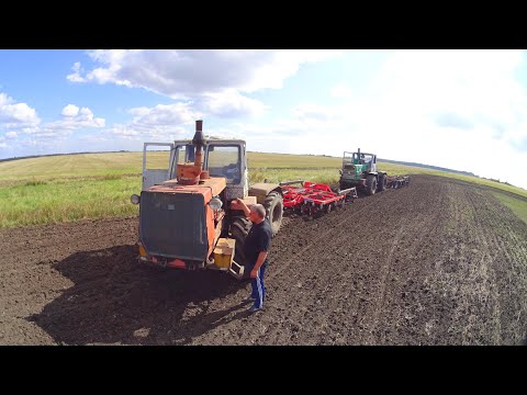 Видео: Дискуем на Т-150К по рапсу, под зев озимых. Проблемы КПП у ХТЗ "Ихтиандр".