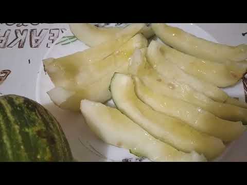 Видео: Гибрид дыни и огурца - Огурдыня 🥒 🍈