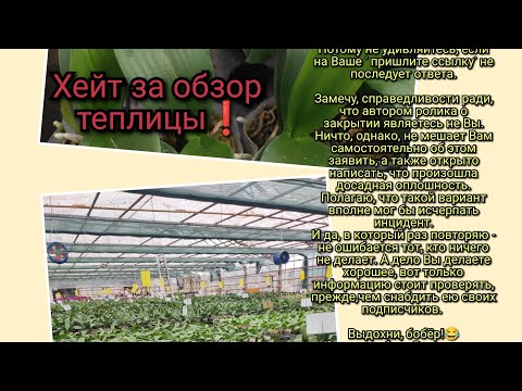 Видео: Хейт на обзор из теплицы "Байкальские цветы"#обзор#хейтеры#original#орхидеи#plants