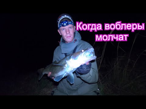 Видео: ЛУЧШИЙ силикон для ловли ночного судака!