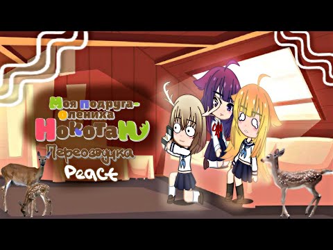 Видео: °САМАЯ ОЛЕНЬЯ РЕАКЦИЯ НА  "Шиканоко здорового человека (переозвучка)"°