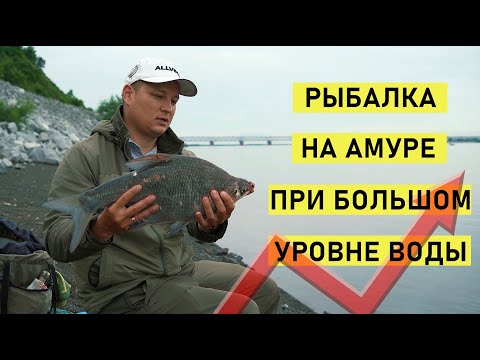 Видео: Рыбалка на Амуре при большом уровне воды