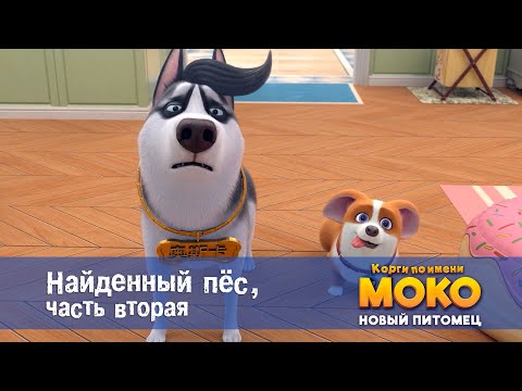 Видео: Корги по имени Моко. Новый питомец - Серия 24.Найденный пёс. Часть 2 - Премьера мультфильма
