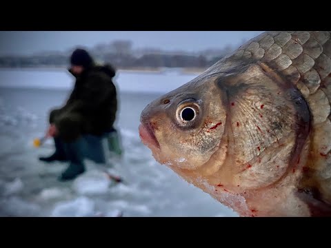 Видео: Ловля КРУПНОГО🐟🐟🐟 ЗИМНЕГО КАРАСЯ со льда❄❄❄!!!