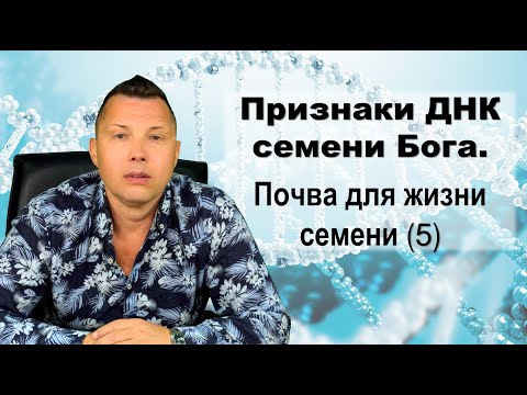 Видео: Признаки ДНК семени Бога (5 часть)_Руслан Сербук_ 17.09.2025