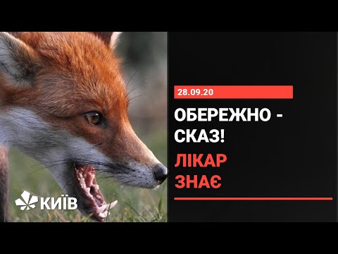 Видео: Сказ: що варто знати і як уберегтися
