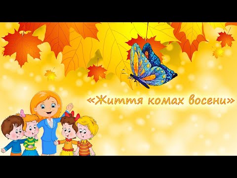 Видео: Життя комах восени