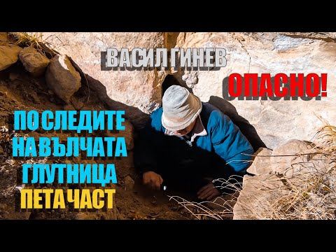 Видео: По следите на Вълчата глутница - част пета. / On the Trail of the Wolf Pack - Parts five.