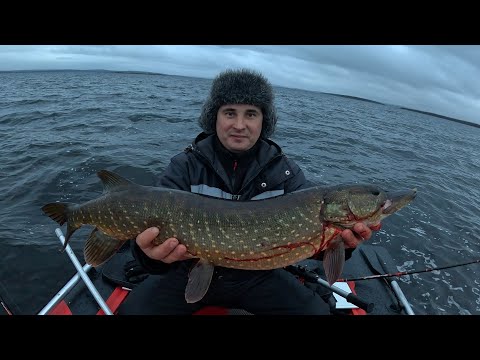 Видео: РЫБАЛКА УДАЛАСЬ , РЫБА ПОЙМАНА / FISHING WAS A SUCCESS, FISH CAUGHT