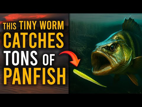 Видео: СВЕРХЛЕГКАЯ РЫБАЛКА НА РЫБУ! (Micro Finesse Worm)