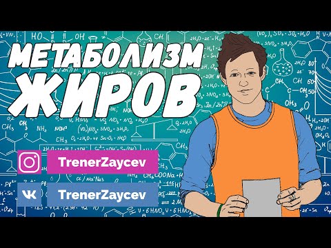 Видео: 05. Метаболизм жиров