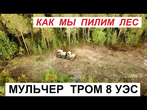 Видео: Что остается в лесу после прохода Мульчера ТРОМ 8 УЭС