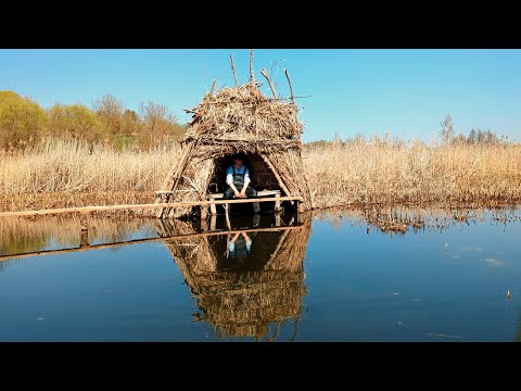 Видео: Проснулись караси в самодельном пруду. Разведка новых мест в болоте