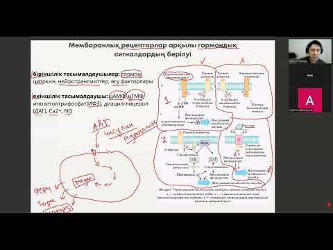 Видео: Басқару жүйесі 2 бөлім