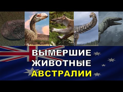 Видео: 5 Вымерших Животных Австралии | Вымершие Животные Разных Стран
