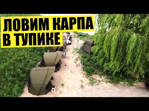 Видео: Ловим карпа на мелководье в тупике, рыбалка близ Алматы 2022, спортивный водоем FDL