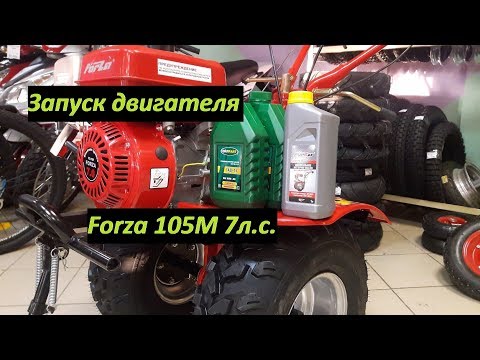 Видео: Проверяю мотоблок Форза Forza 105M 7л.с. Заправка маслом и запуск двигателя!Хопер,Форте.