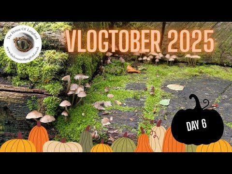 Видео: Vlogtober 2025 ~ День 6: Прогулка по лесному водопаду и вязание