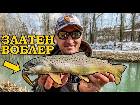 Видео: ЗЛАТЕН воблер за ЗЛАТНА рибa. Риболов на река Златна Панега