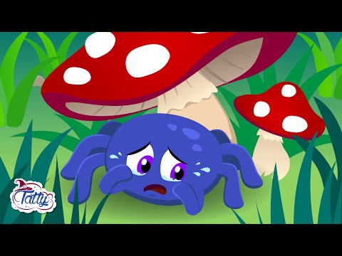 Видео: Пауци и магичне животиње 🌟 Колекција најбољих цртаних филмова са малим чаробњацима Татти и Мисифу!