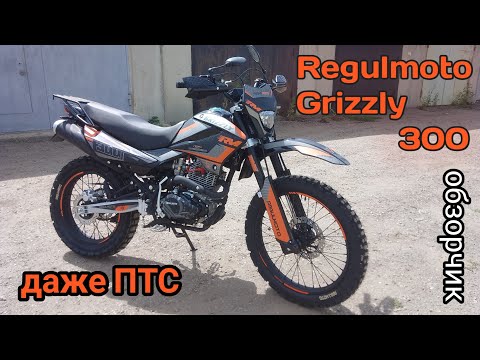 Видео: Regulmoto Grizzly 300/ обзорчик.