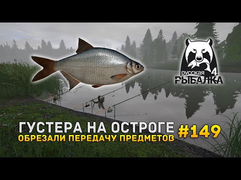 Видео: Густера на Остроге. Обрезали передачу предметов - Русская Рыбалка 4 #149