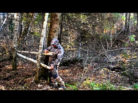 Видео: ВТОРОЙ ДЕНЬ СТРОЮ ПУТИК. ОЧЕНЬ СТРАННАЯ НАХОДКА. ПРИЕХАЛ ИВАНЫЧ.