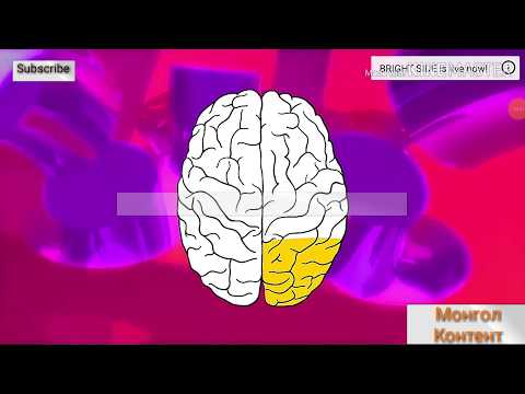 Видео: Гоц ухаантай хүмүүс л бүгдэд нь хариулж чадна😛