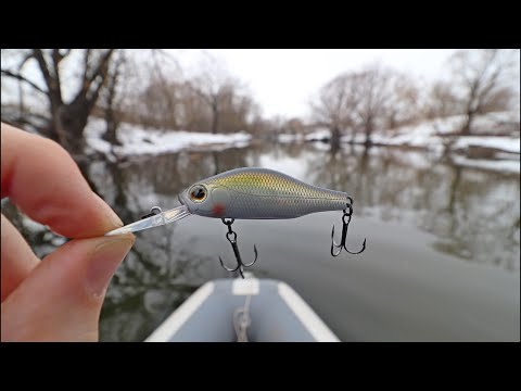Видео: НАДО ВИДЕТЬ! БЕЗОТКАЗНАЯ ВЕСЕННЯЯ ПРИМАНКА на ХИЩНИКА! (Рыбалка весной на спиннинг)