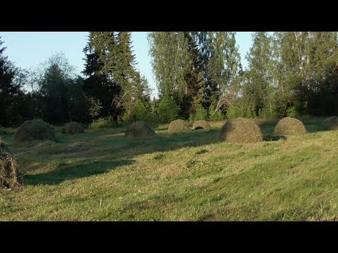 Видео: Поход. Первая изба. Сенокос 4/4 часть