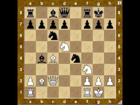 Видео: Северный гамбит для начинающих.