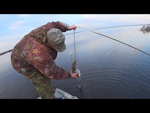 Видео: Вылов рыбы сетями. Рыбалка на Крайнем Севере. Fishing with nets.