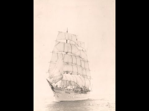 Видео: Барк ТОВАРИЩ   2022