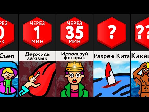 Видео: Если Вас Съест Кит